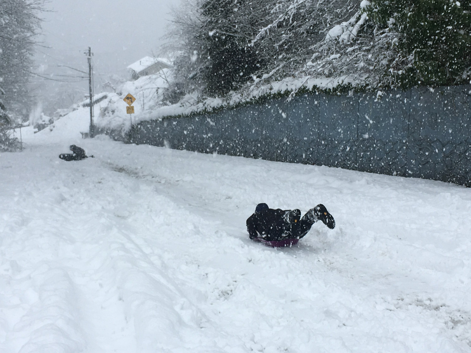 Snowstorm hawaii 