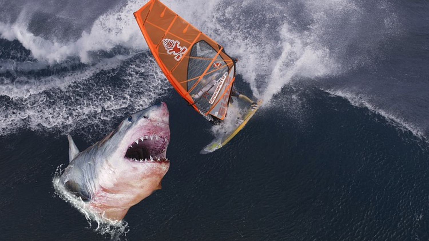 Inches Away From Being Devoured Photographer Captures Frightening   Shark Attack Australian Photographer 