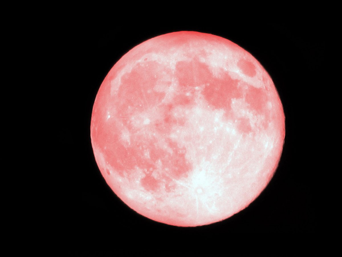 Pink Moon Set to Illuminate the Skies on Friday