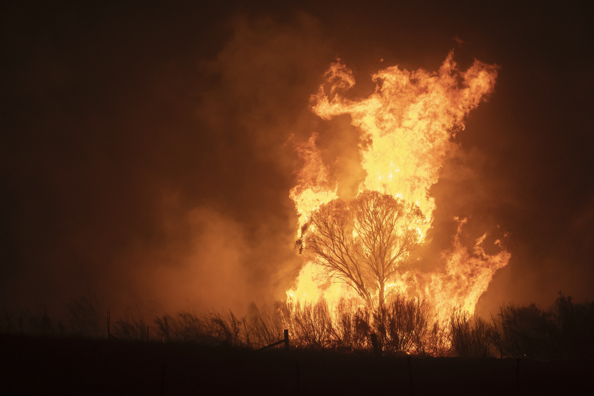 Australia Launches National Inquiry Into Devastating Bushfires